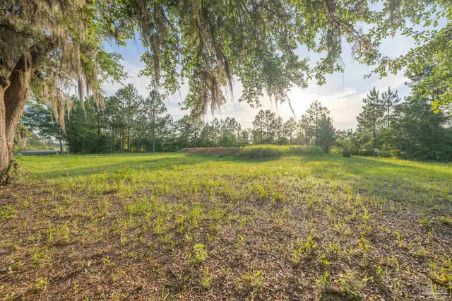 a view of a lake view with large trees