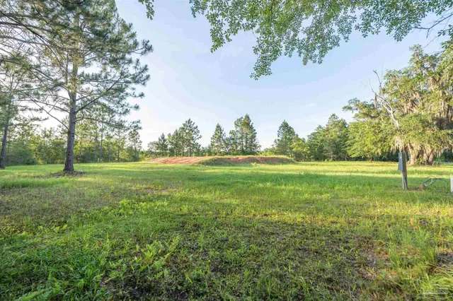 a view of a garden with trees