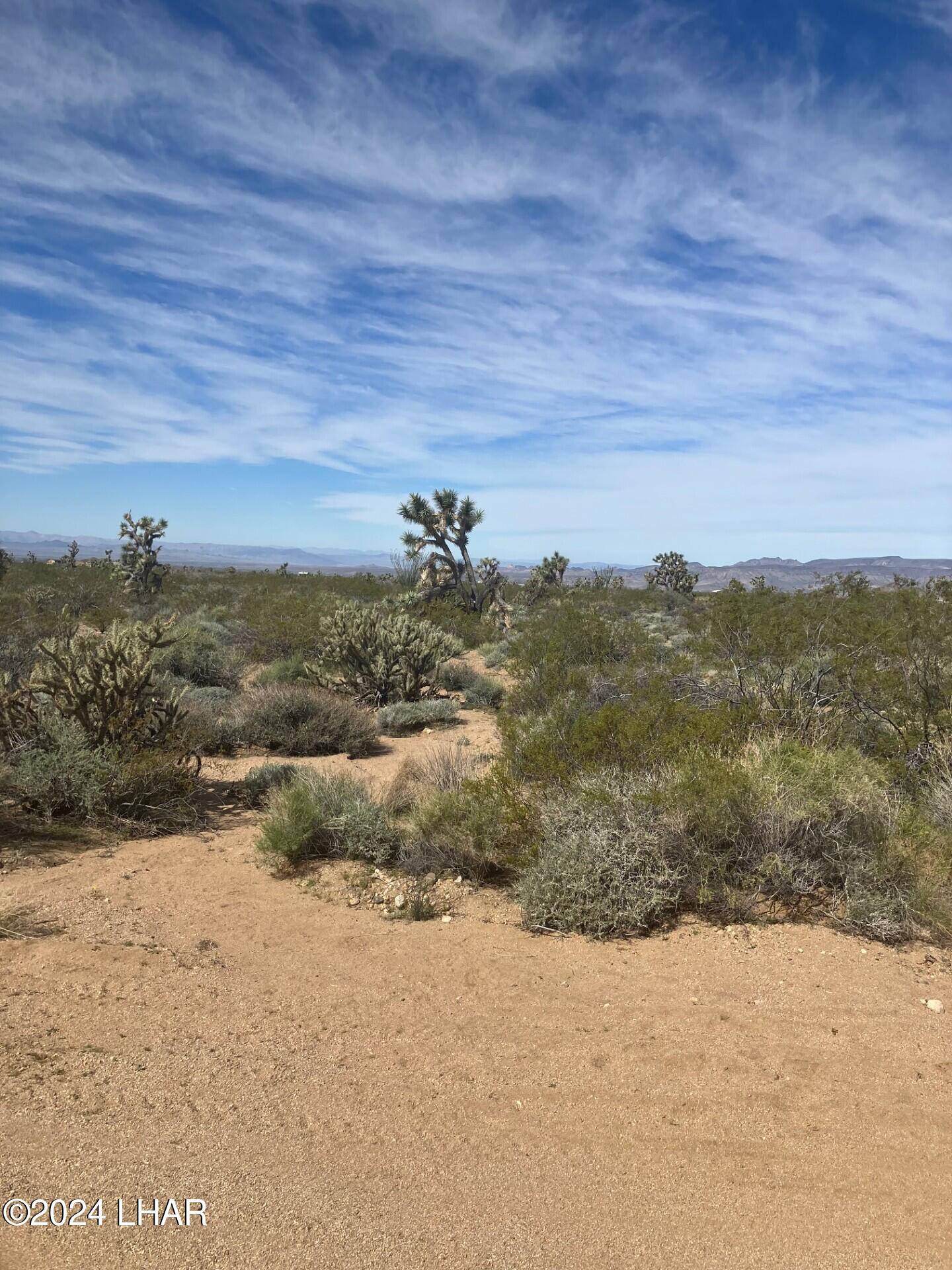 0 South Rutz Road Yucca, AZ 86438 - Photo 3 of 3 Pic1