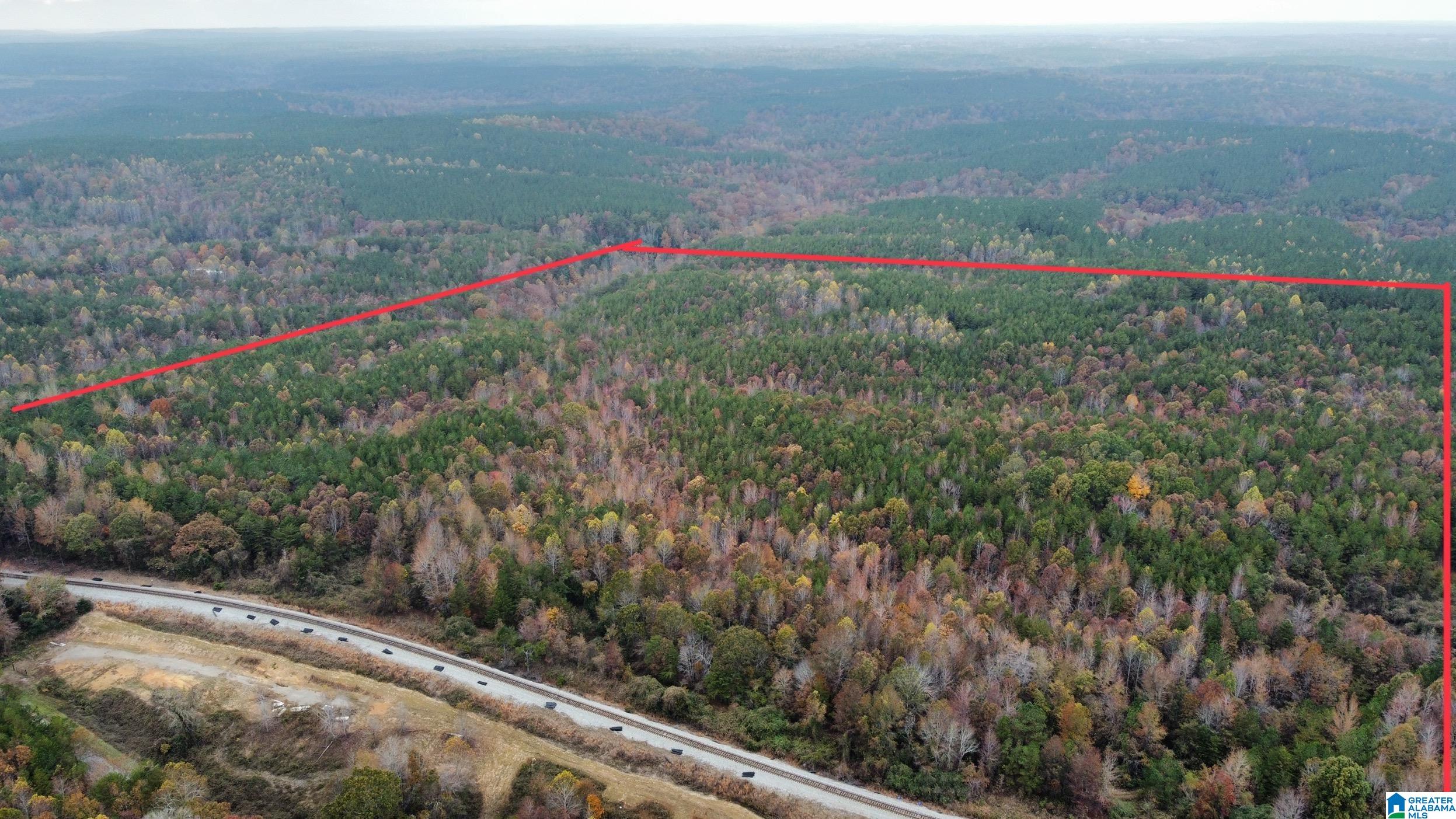 83-acres Byler Road, Unit 83 ACRES Haleyville, AL 35565 - Photo 13 of 19