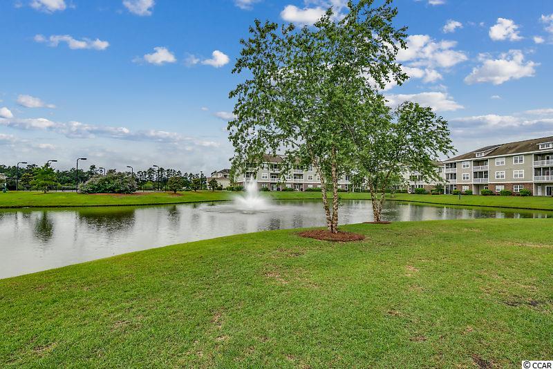 308 Kiskadee Loop, Unit A Conway, SC 29526 - Photo 2 of 26 Gallery Image 2