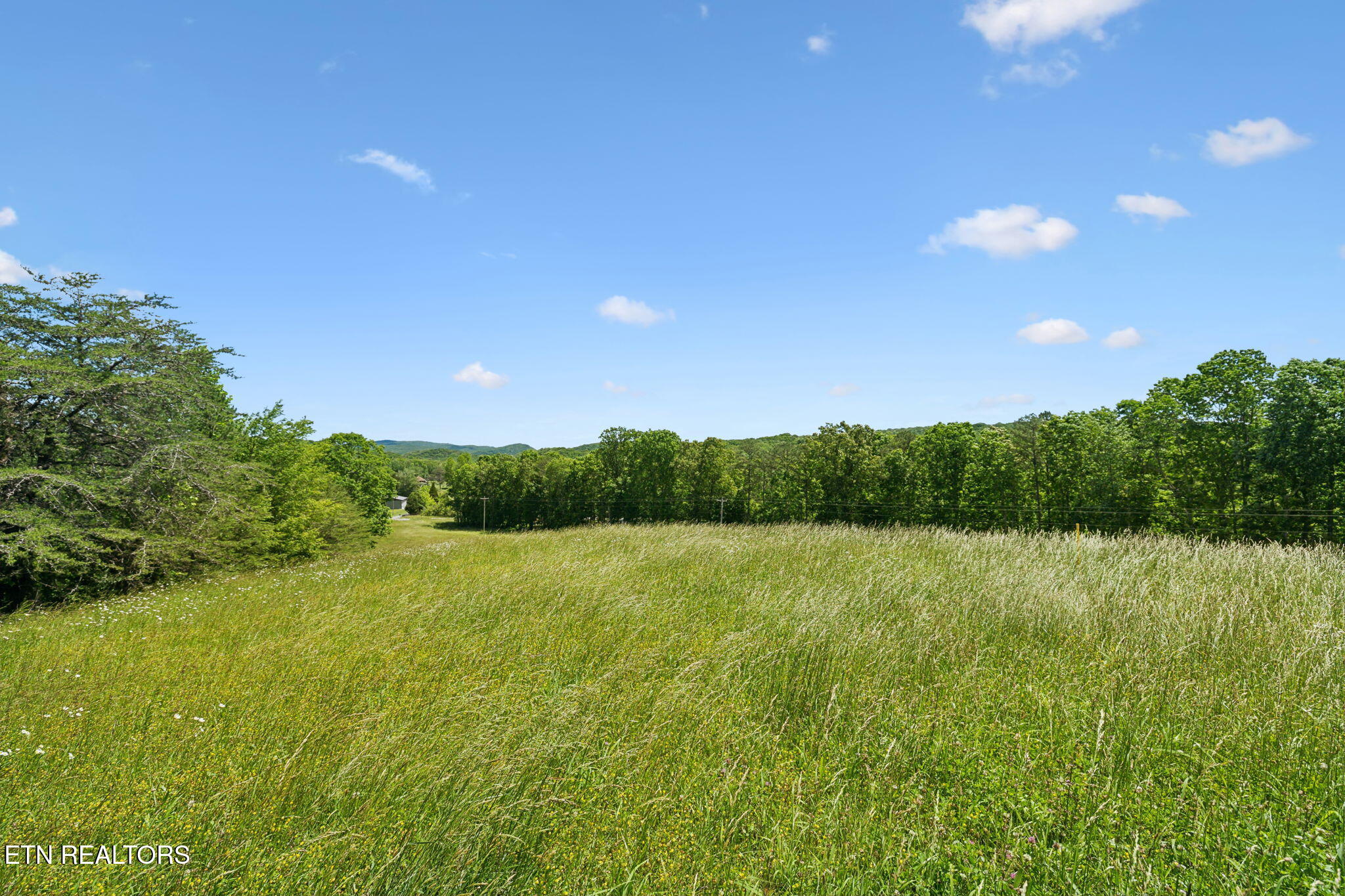 1460 Big Neck Road Grandview, TN 37337 - Photo 13 of 32 Rolling Fields