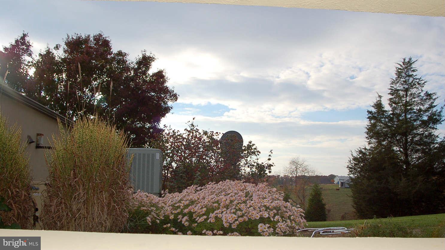 11110 Bennie Duncan Road Frederick, MD 21701 - Photo 20 of 30 View