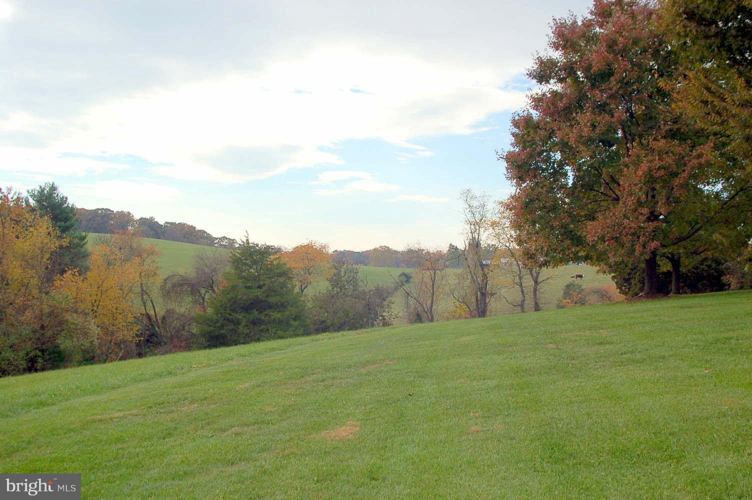 11110 Bennie Duncan Road Frederick, MD 21701 - Photo 23 of 30 View