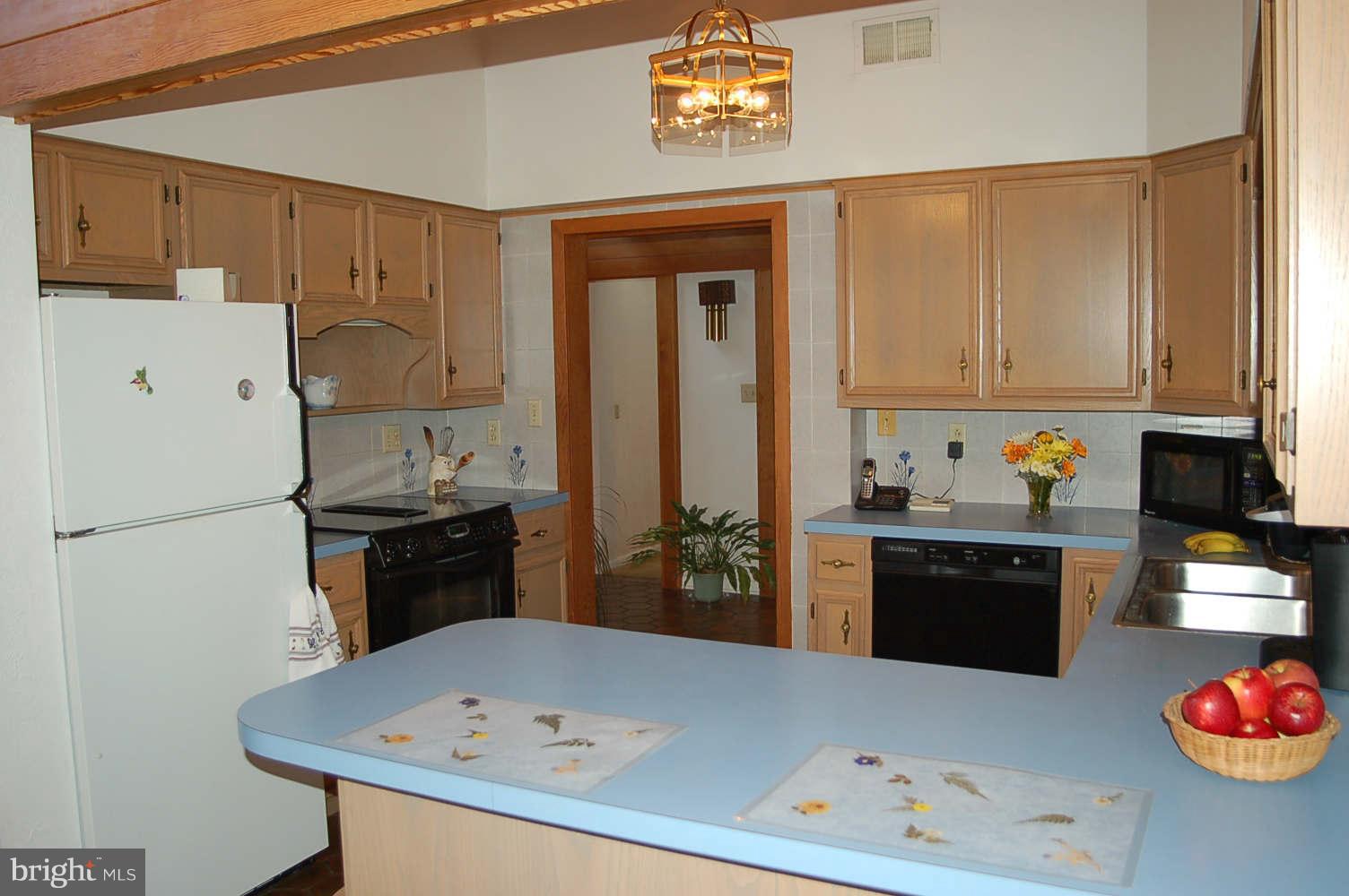 11110 Bennie Duncan Road Frederick, MD 21701 - Photo 7 of 30 Kitchen