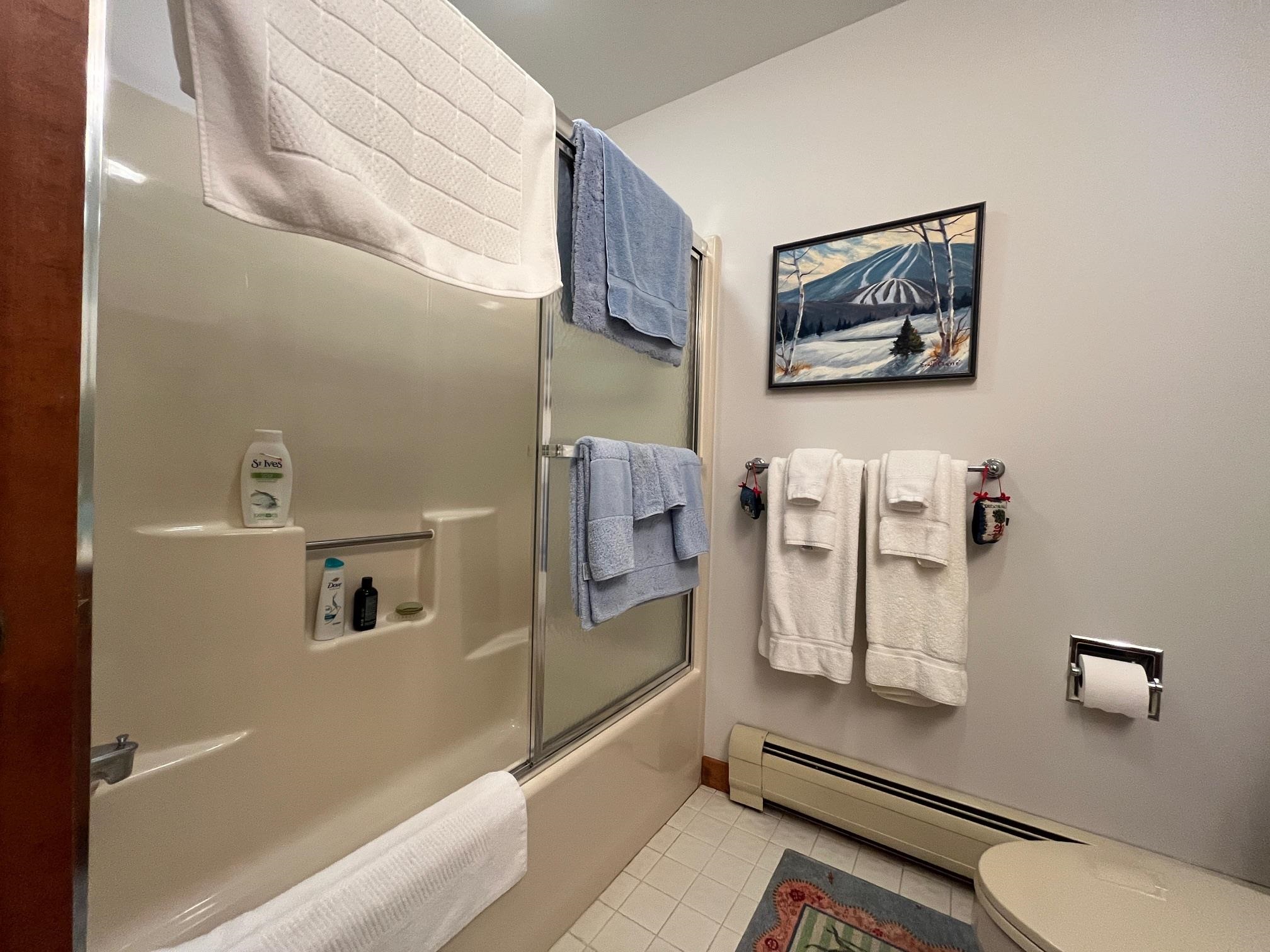 10 Middle Ridge Road, Unit 25 South Londonderry, VT 05155 - Photo 42 of 57