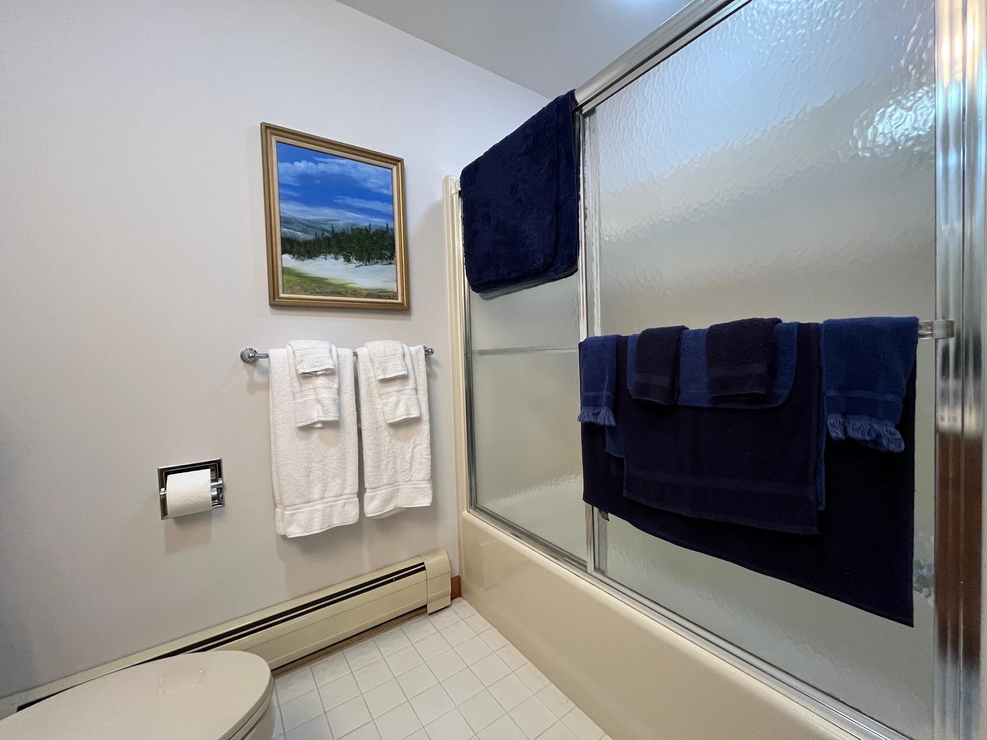 10 Middle Ridge Road, Unit 25 South Londonderry, VT 05155 - Photo 43 of 57