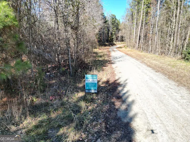 $400,000 | 0 Jaudon Road, Elberton, GA 30635