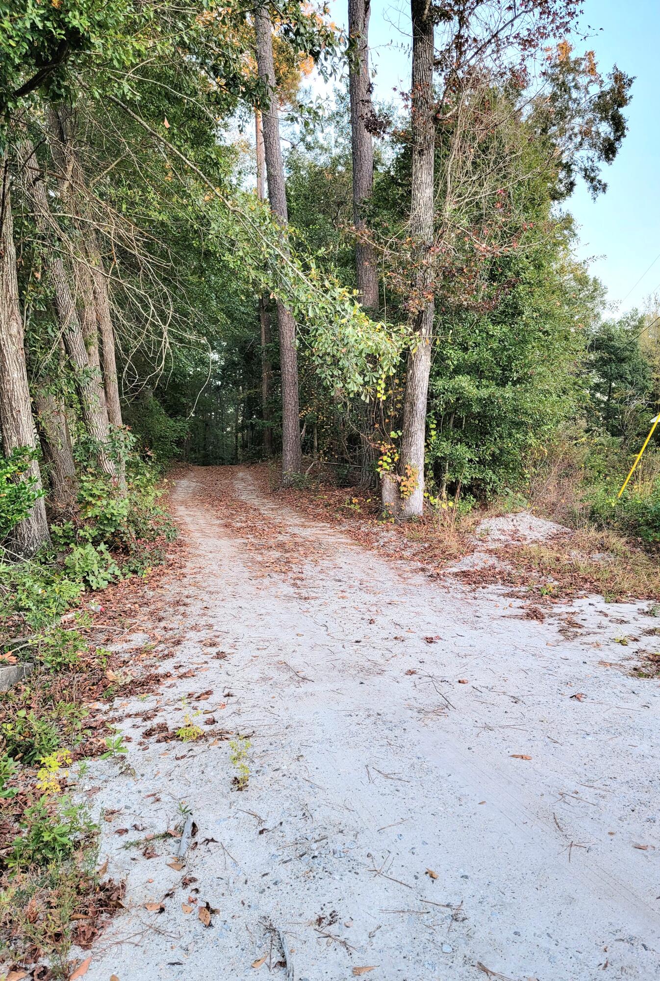 384 B Gingerhill Road Thomson, GA 30824 - Photo 25 of 27 20221024_183445