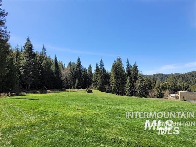 112 Three Forks Road Kamiah, ID 83536 - Photo 32 of 45 View of grassy yard featuring a wooded view
