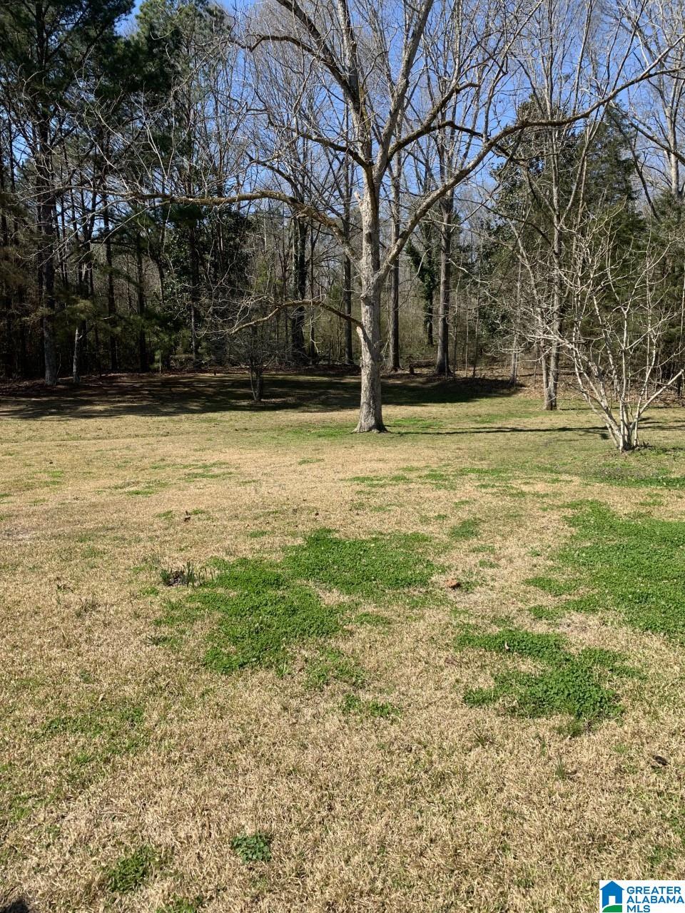 550 County Road 75 Clanton, AL 35045 - Photo 6 of 23