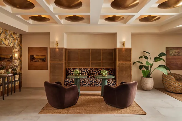 a living room with furniture and a potted plant