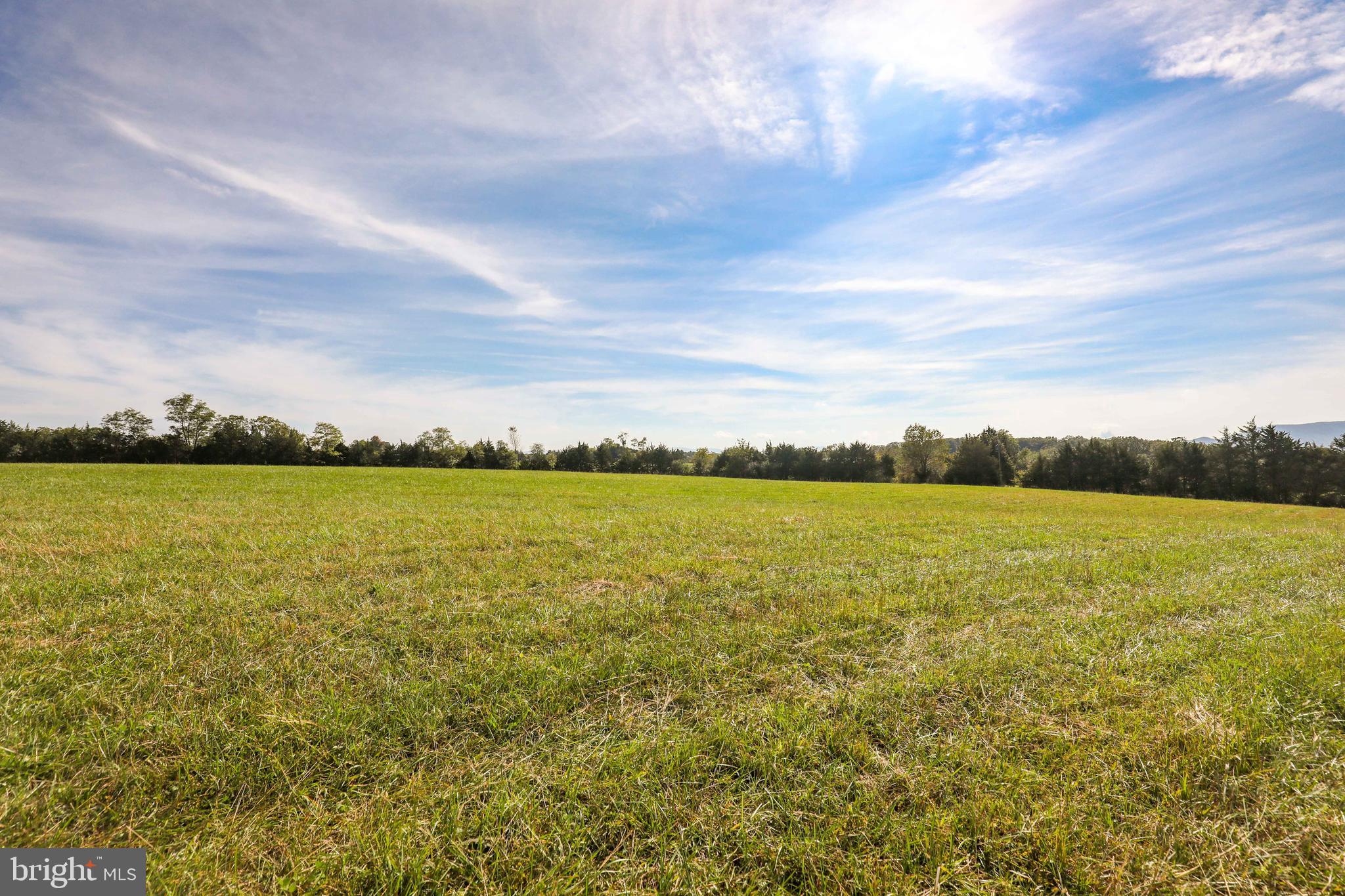 Lot 2 Huttle Road Middletown, VA 22645 - Photo 4 of 17
