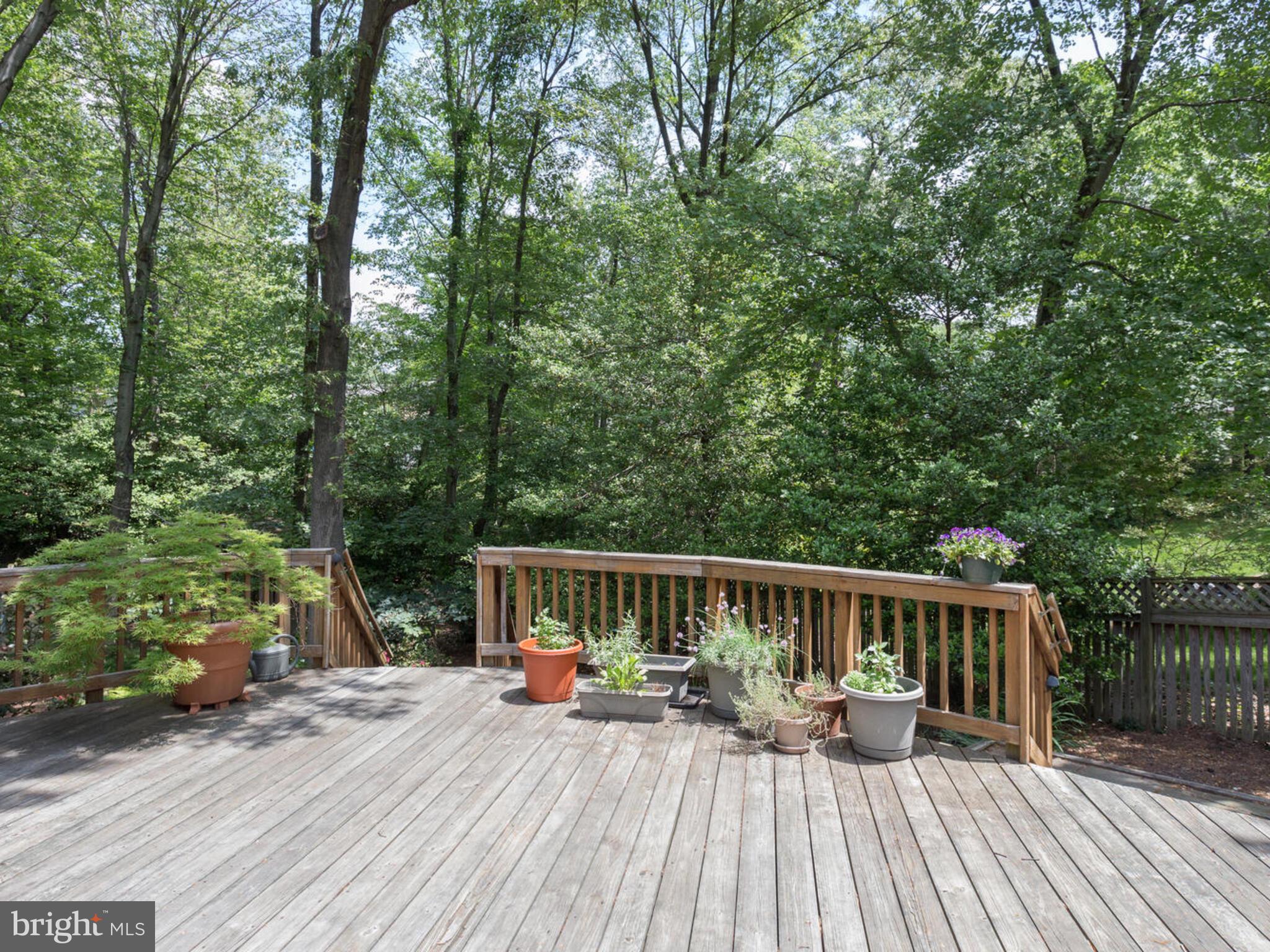 6506 Carrsbrook Court Springfield, VA 22150 - Photo 8 of 47 Gallery Image 8