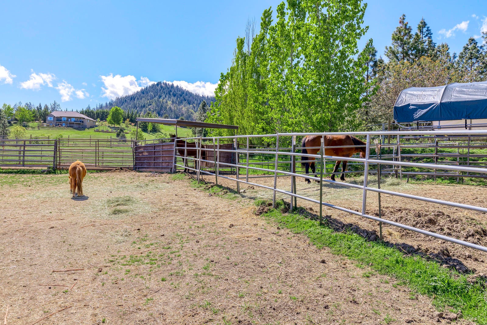 855 Holton Road Talent, OR 97540 - Photo 69 of 78 69