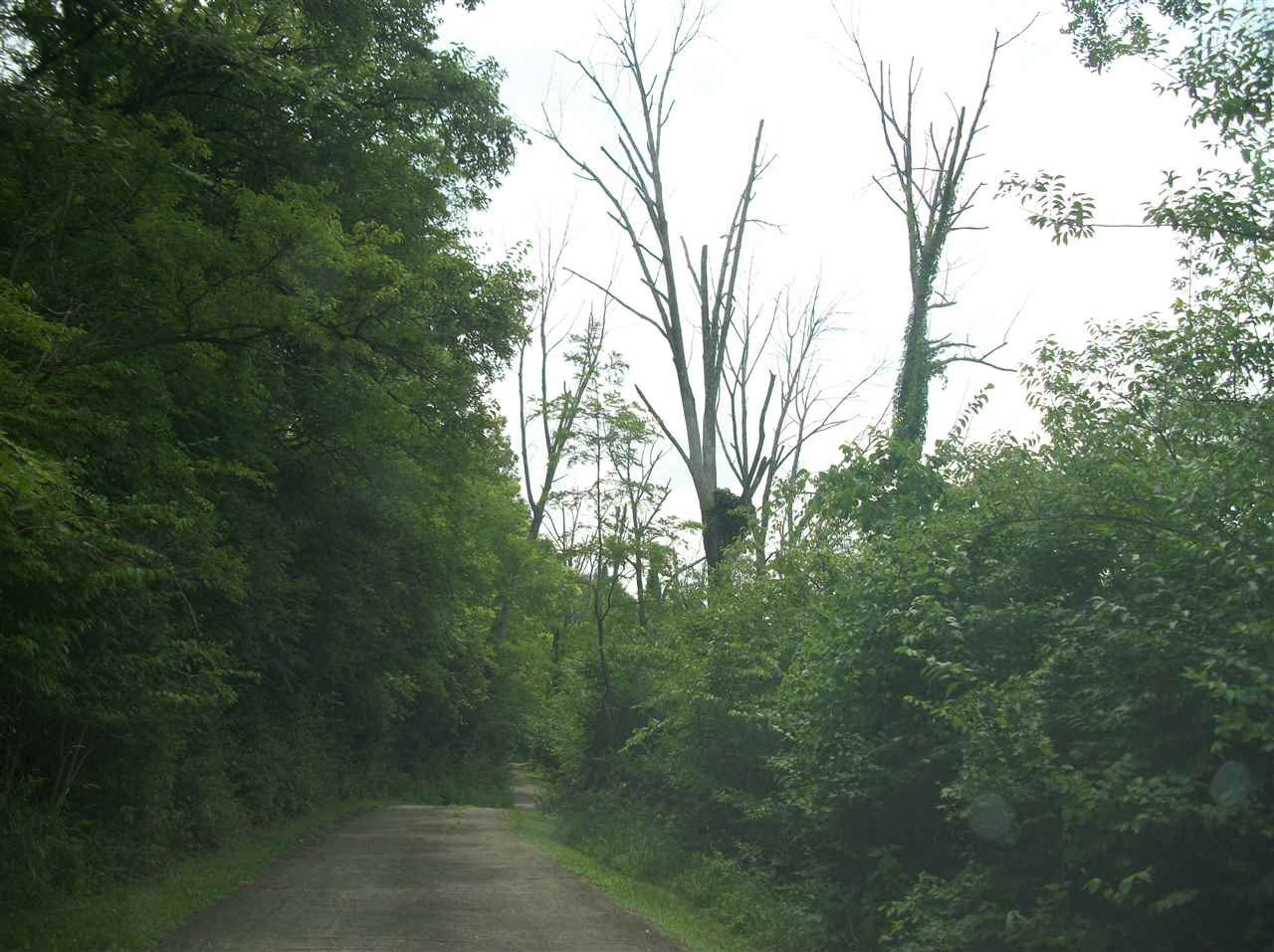 98 3 Mile Road Wilder, KY 41076 - Photo 6 of 30 Gallery Image 6