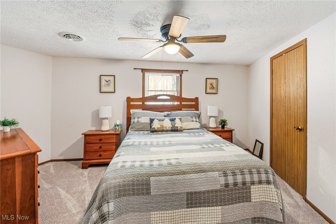 86523 North Bay Road Scio, OH 43988 - Photo 19 of 25 Bedroom with carpet flooring, a ceiling fan, and a textured ceiling