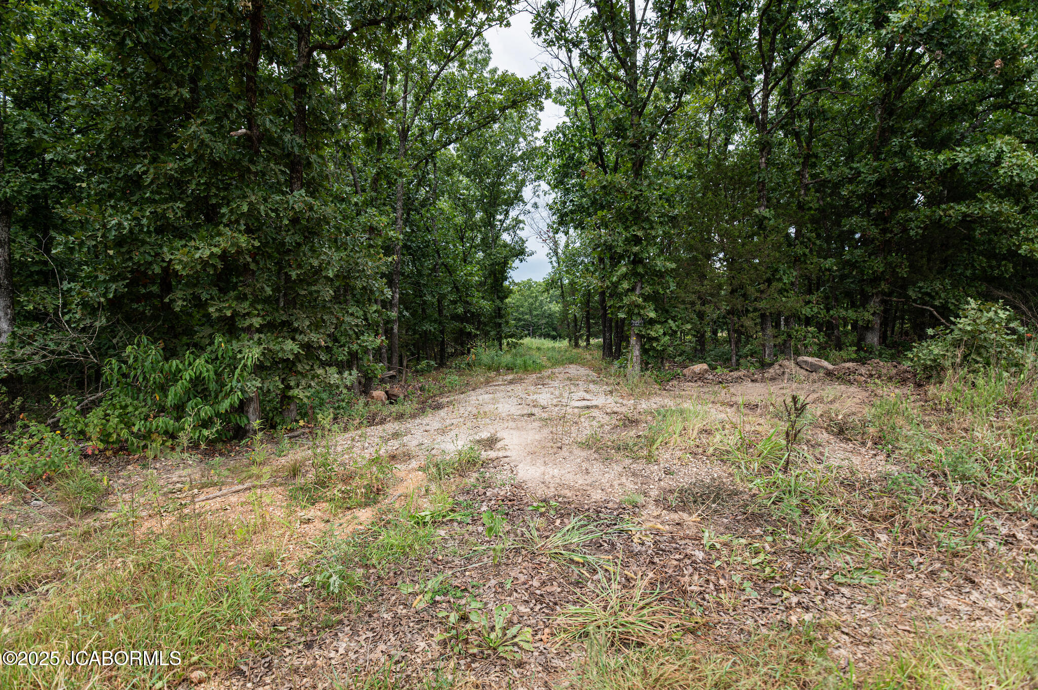 Tbd Peterson Road Bland, MO 65014 - Photo 8 of 9