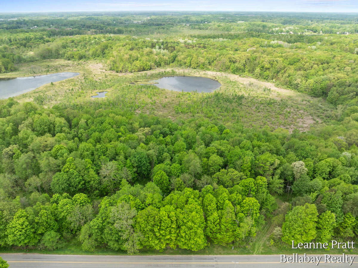 Vl Hutchinson Road Dowling, MI 49050 - Photo 7 of 9 12950-Hutchinson_205