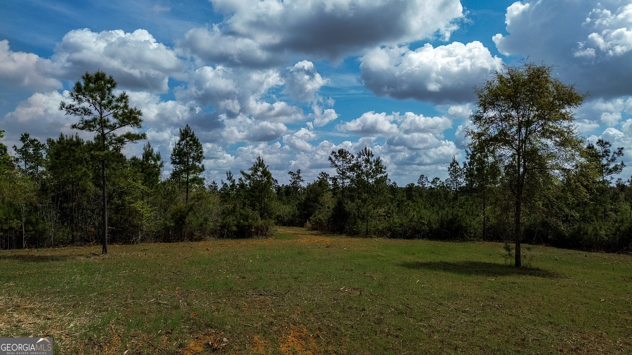 5 Pear Orchard Road Parrott, GA 39877 - Photo 1 of 15