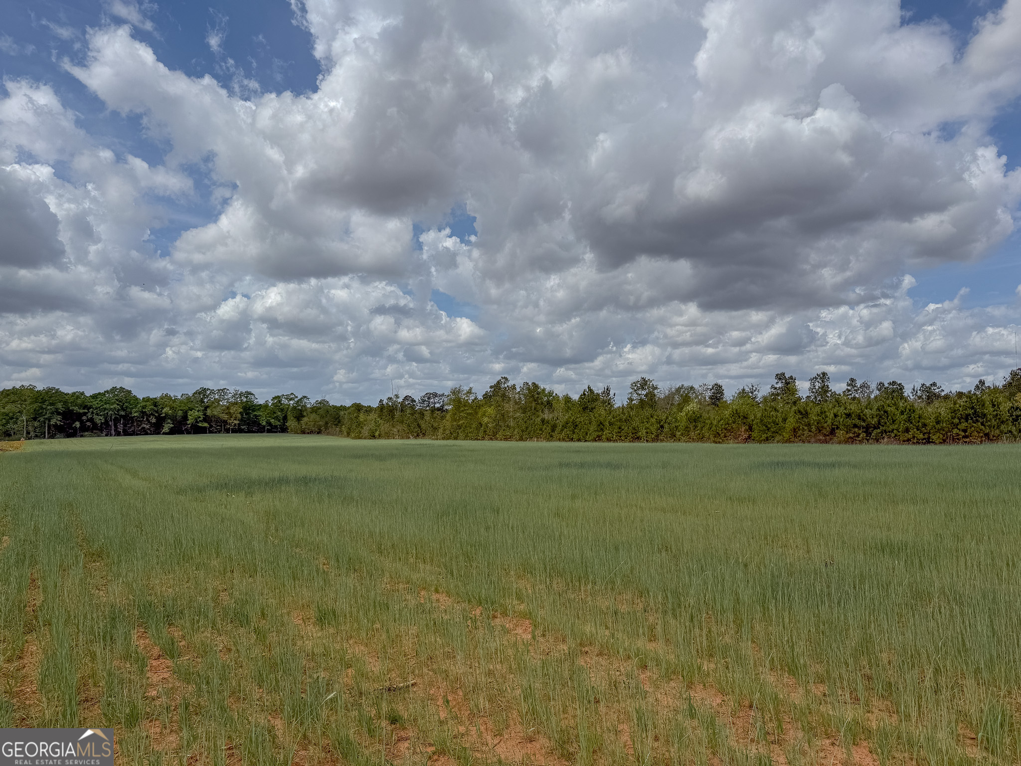 5 Pear Orchard Road Parrott, GA 39877 - Photo 5 of 15