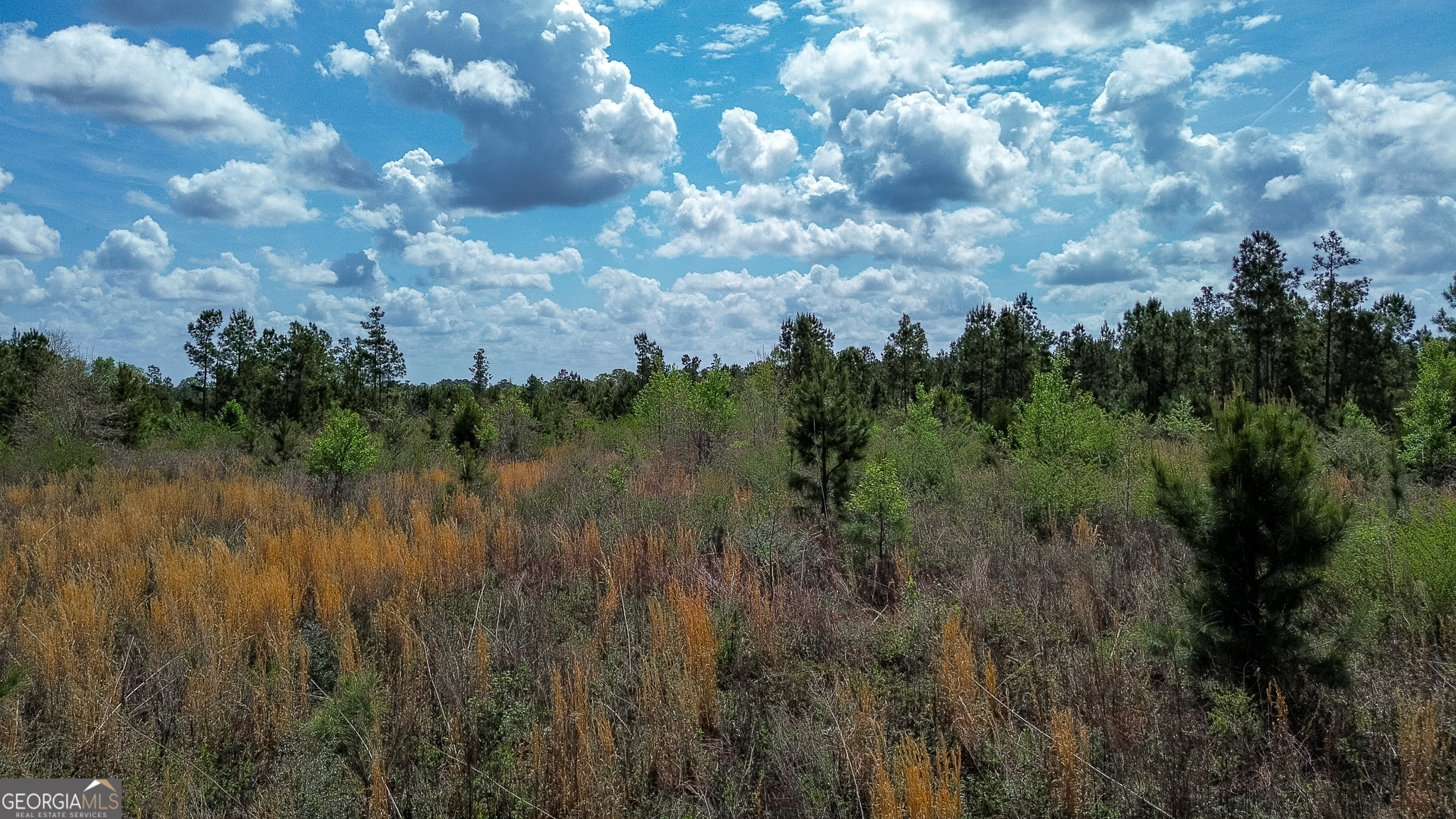 5 Pear Orchard Road Parrott, GA 39877 - Photo 6 of 15