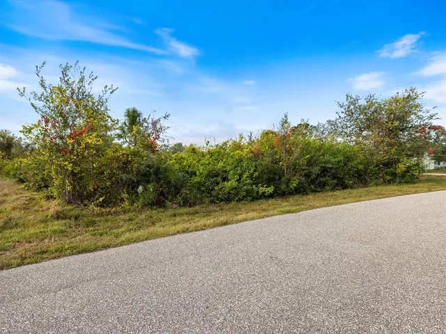 a view of a yard with an tree