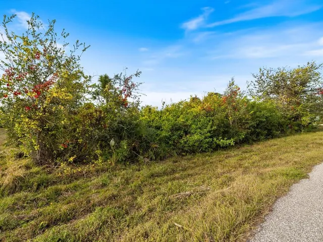 a view of a yard with a tree