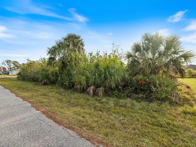 a view of a yard with a tree