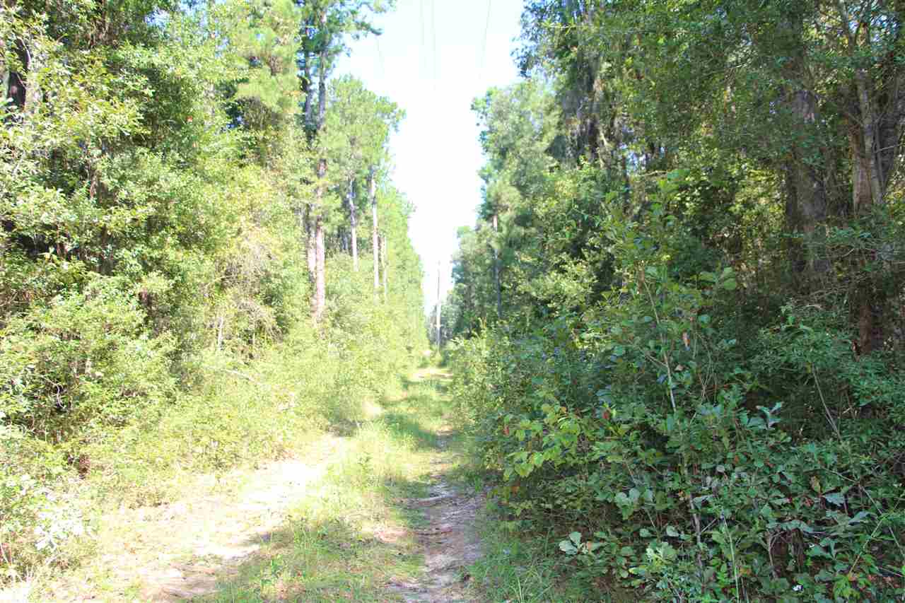 Xx North Meridian Road Tallahassee, FL 32312 - Photo 8 of 13 Gallery Image 8