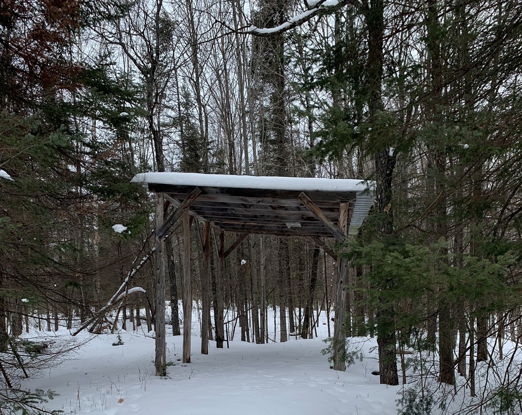 0 Other Butternut, WI 54514 - Photo 7 of 21