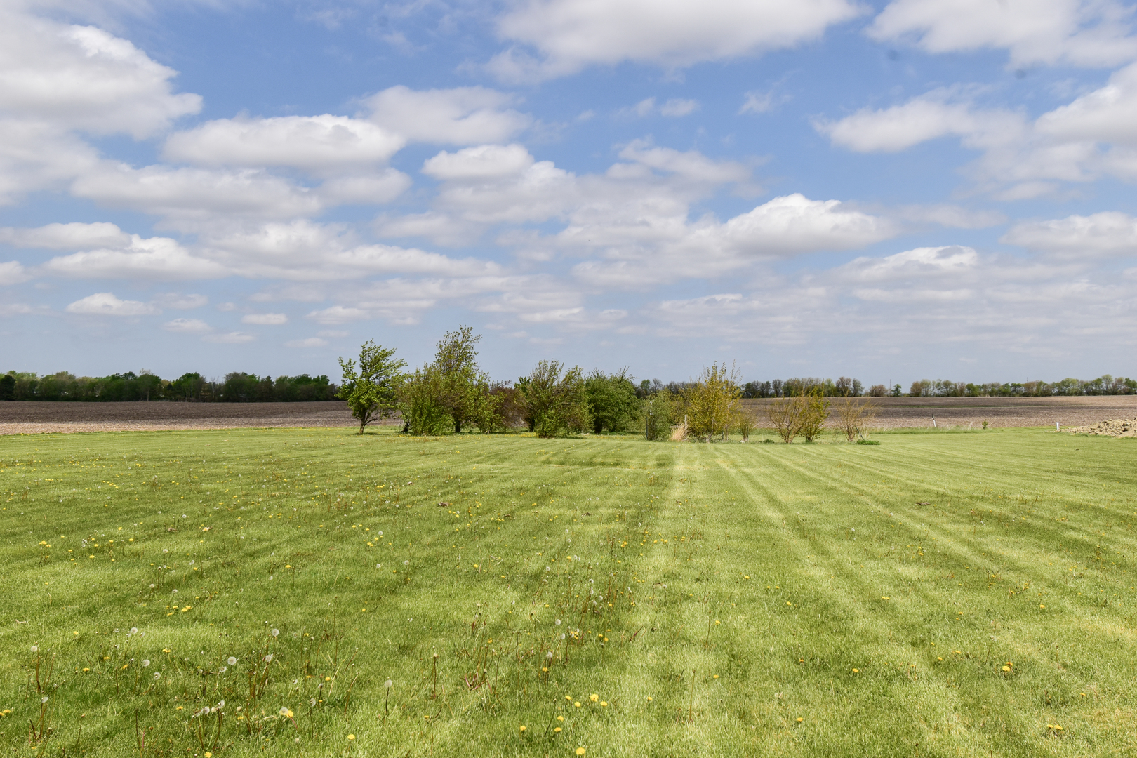 33879 East 800 N Road Chatsworth, IL 60921 - Photo 12 of 53