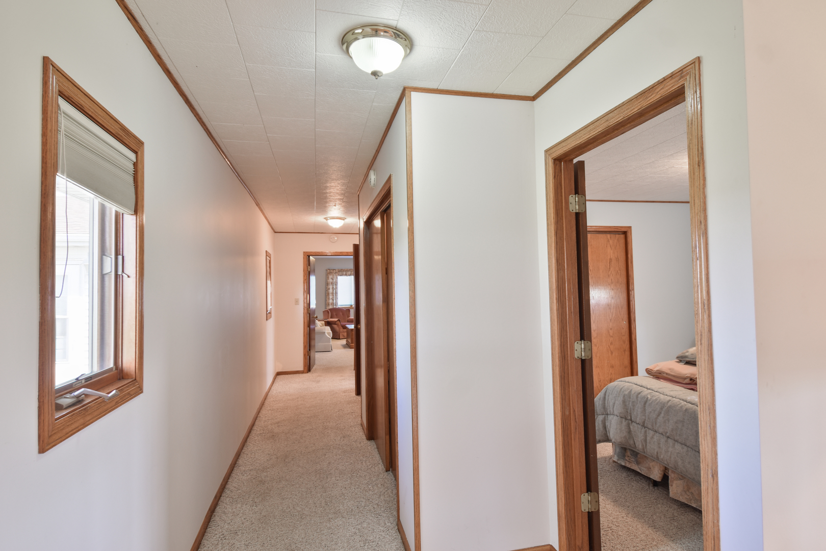 33879 East 800 N Road Chatsworth, IL 60921 - Photo 29 of 53
