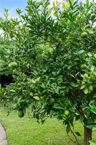 $699,000 | 1194 Sea Palms W Drive, St. Simons Island, GA 31522