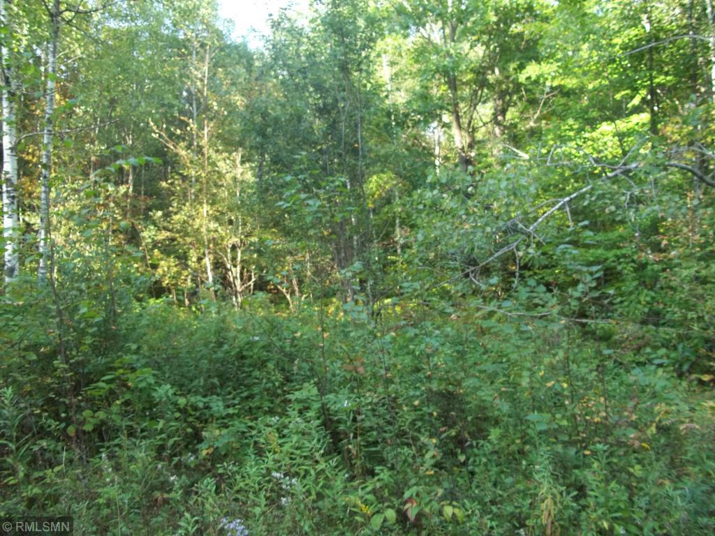 Xxxx Champion Road Trego, WI 54888 - Photo 11 of 14