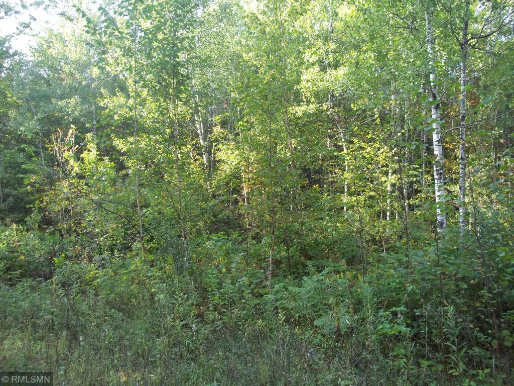 Xxxx Champion Road Trego, WI 54888 - Photo 12 of 14
