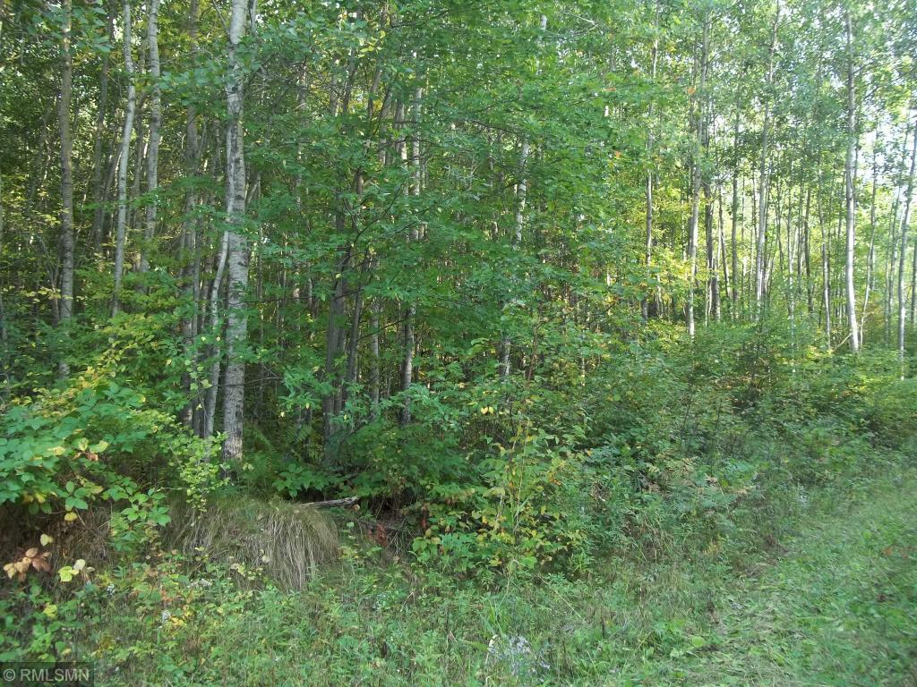 Xxxx Champion Road Trego, WI 54888 - Photo 13 of 14