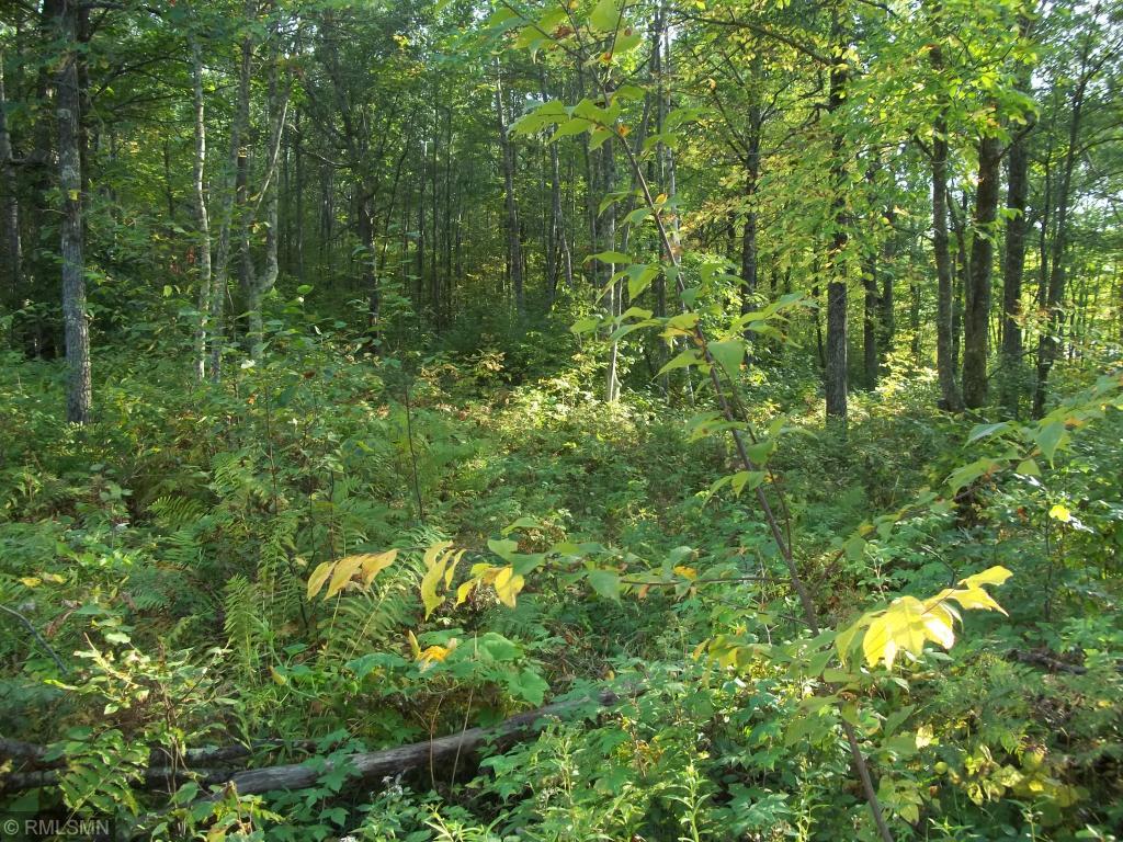 Xxxx Champion Road Trego, WI 54888 - Photo 4 of 14