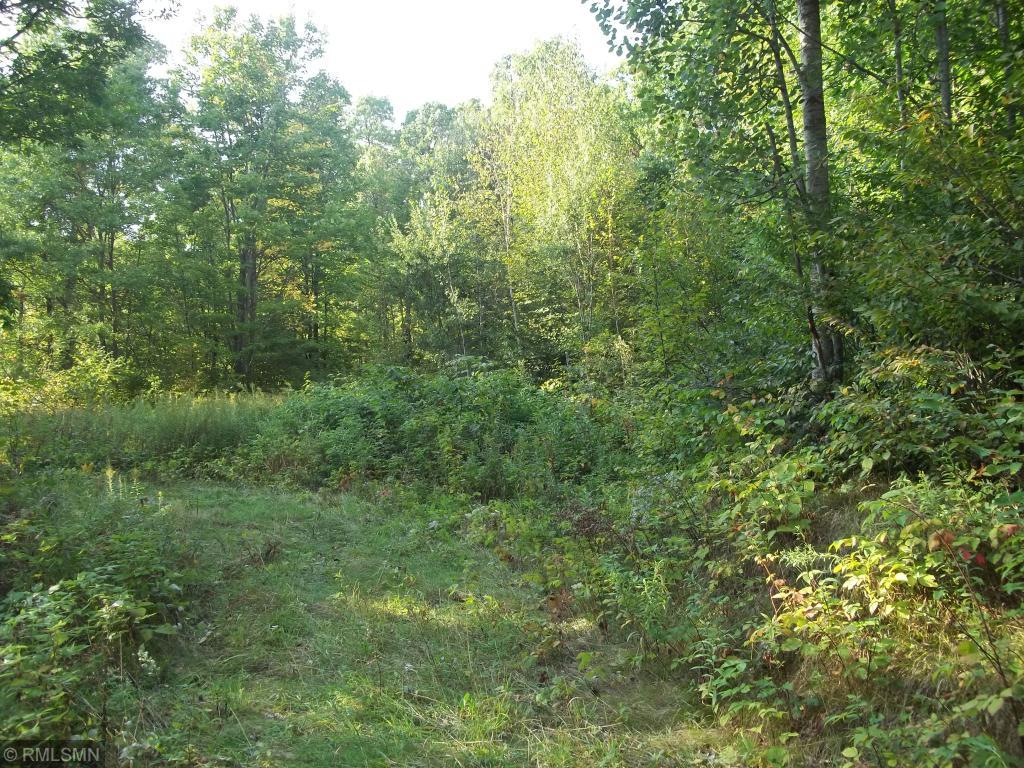 Xxxx Champion Road Trego, WI 54888 - Photo 6 of 14
