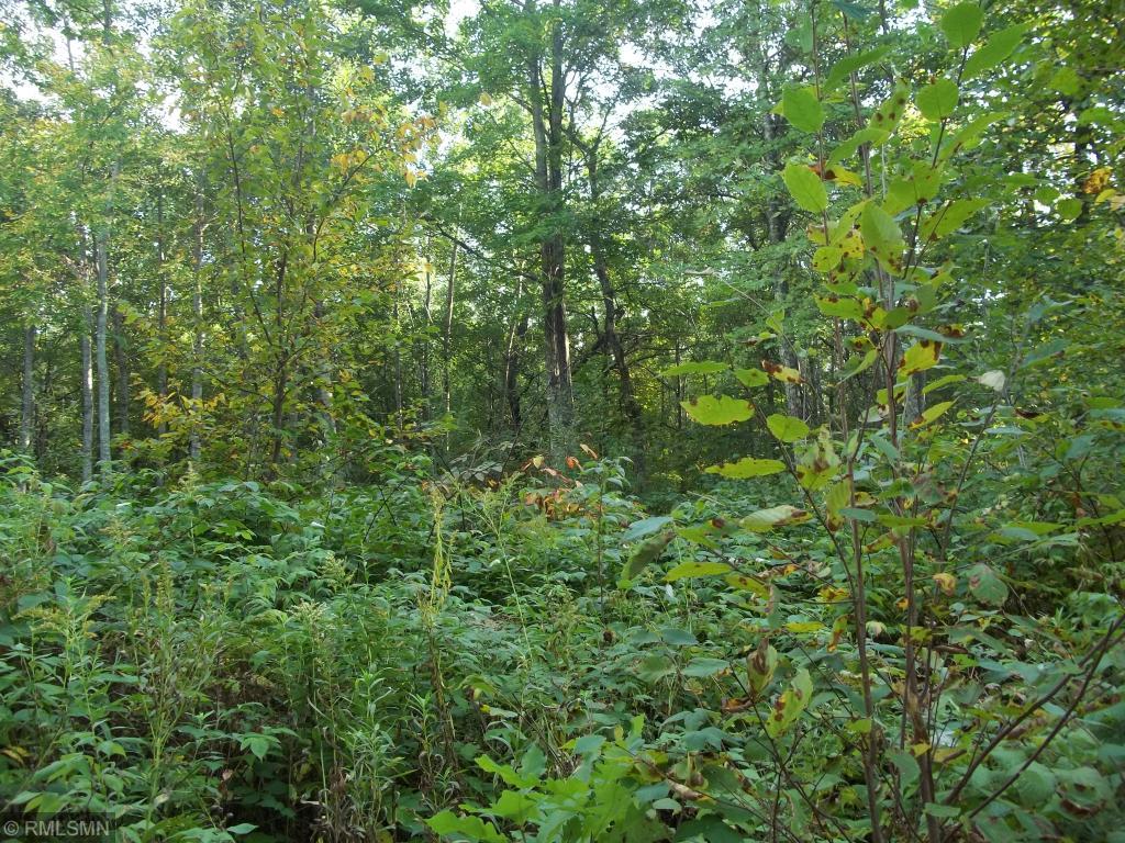 Xxxx Champion Road Trego, WI 54888 - Photo 7 of 14