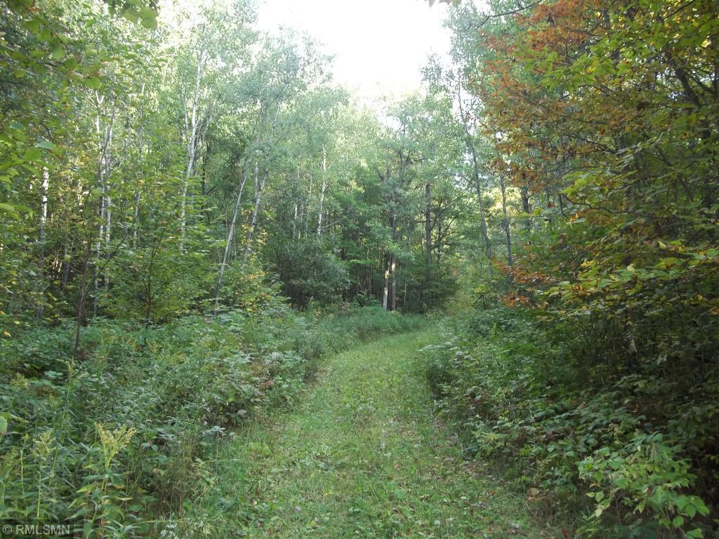 Xxxx Champion Road Trego, WI 54888 - Photo 10 of 14