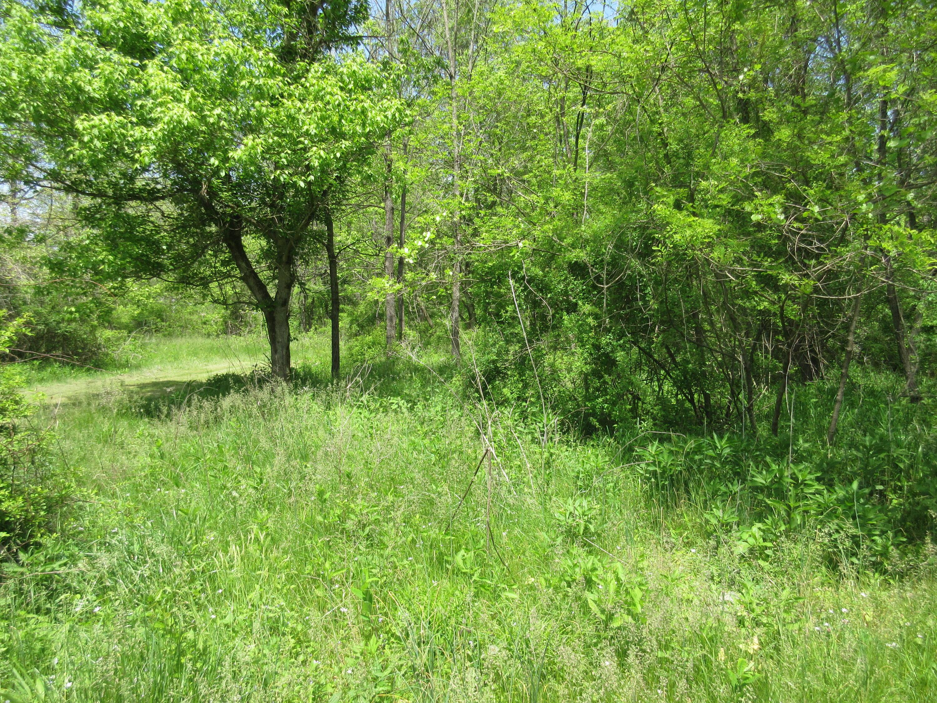 6800 Center Road Philo, OH 43771 - Photo 26 of 29 IMG_9044