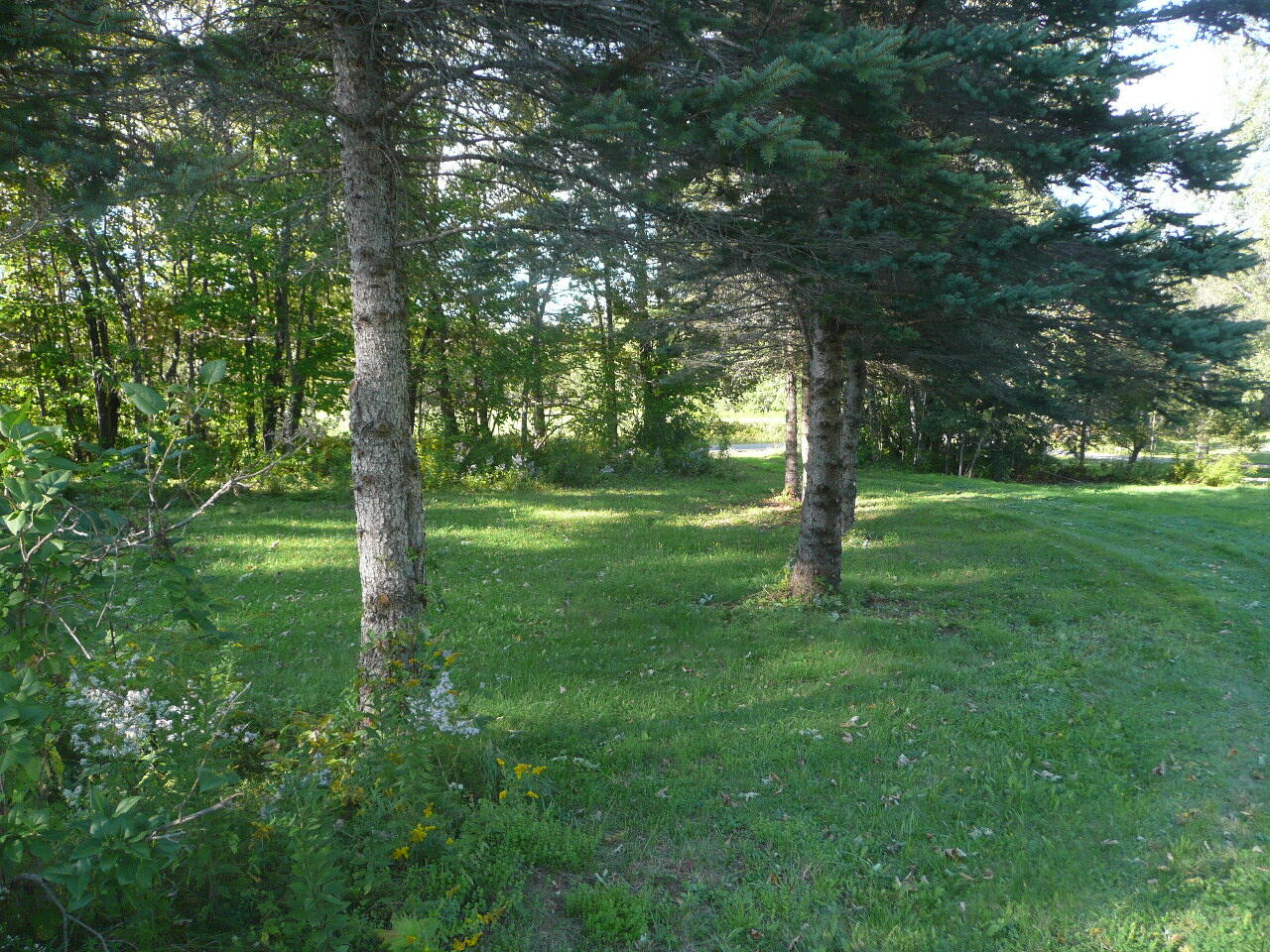 987 Douty Hill Road Sangerville, ME 04479 - Photo 3 of 44 P1050451
