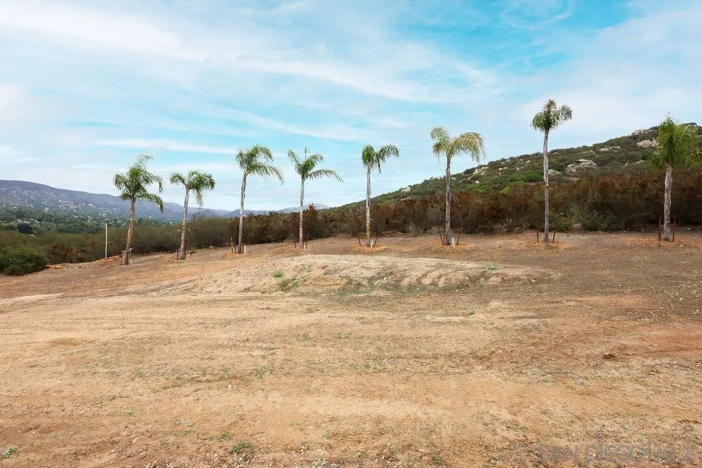 23085 Tombill Road Ramona, CA 92065 - Photo 37 of 43 a swimming pool with a yard and palm trees