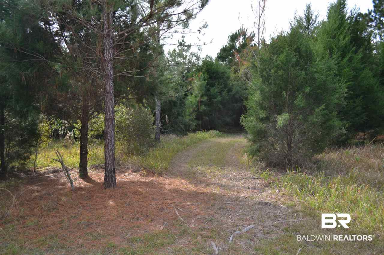 20751 Keller Road Foley, AL 36535 - Photo 40 of 44