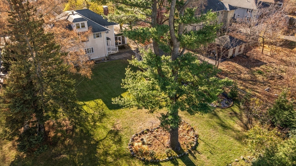 30 Payson Road Belmont, MA 02478 - Photo 5 of 17 a view of a house with a tree