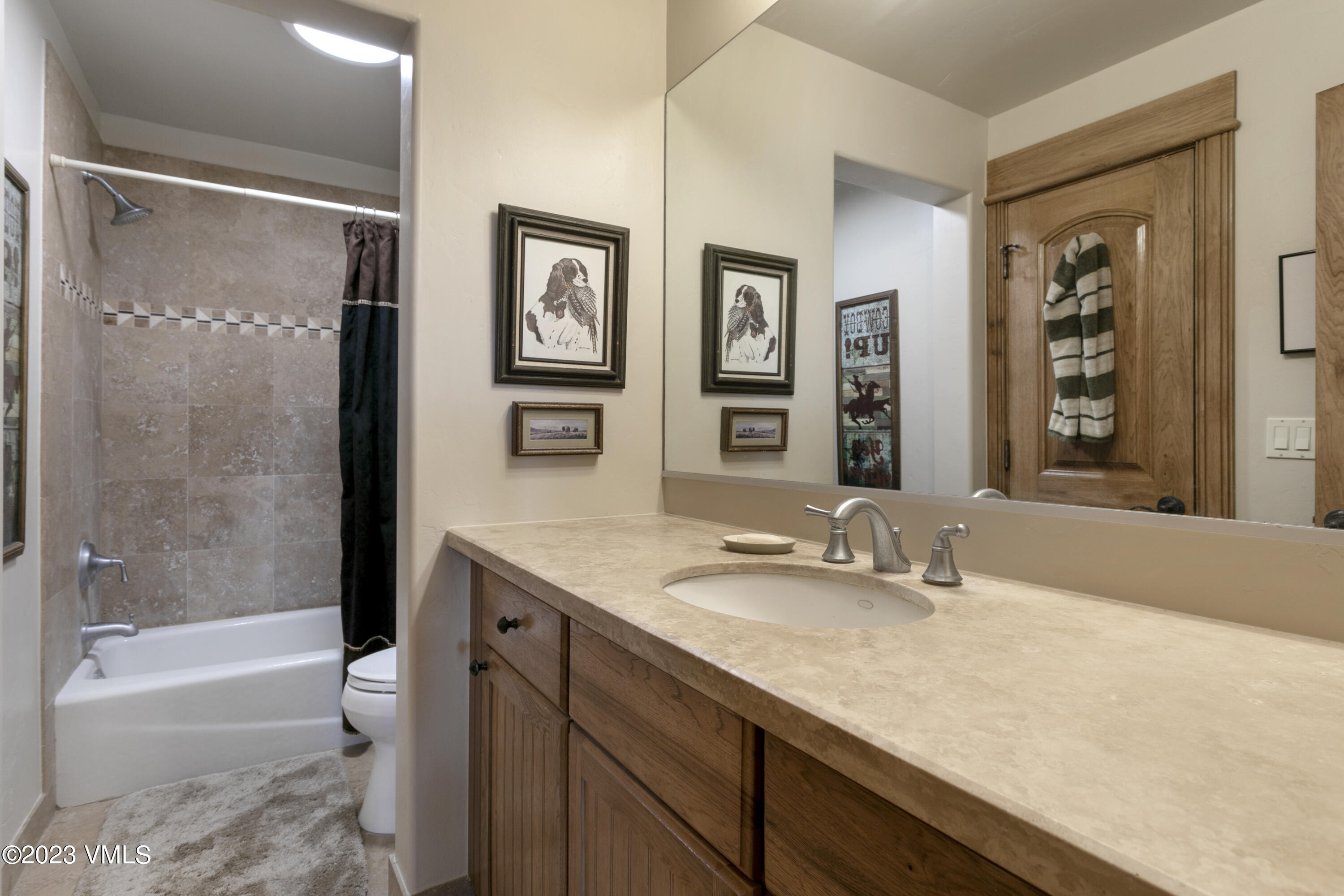 106 East Double Hitch Eagle, CO 81631 - Photo 21 of 28 a bathroom with a granite countertop sink a toilet and shower