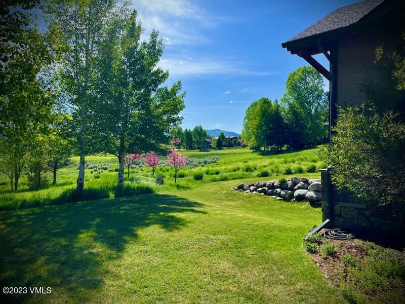 106 East Double Hitch Eagle, CO 81631 - Photo 26 of 28 a view of a garden with plants