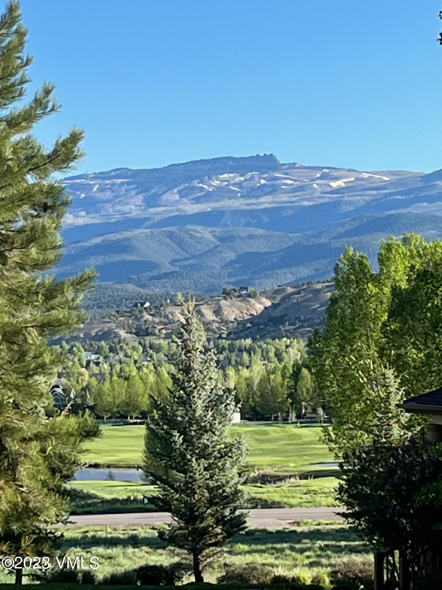 106 East Double Hitch Eagle, CO 81631 - Photo 3 of 28 a view of a yard with an outdoor space
