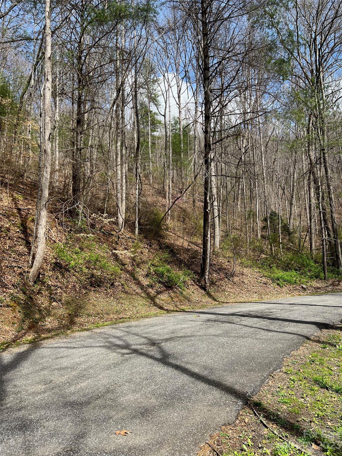 302-304 North Country Club Drive Cullowhee, NC 28723 - Photo 1 of 15